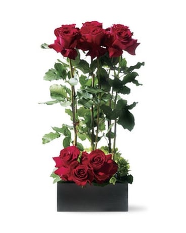 Scarlet Splendor Roses Flower Arrangement