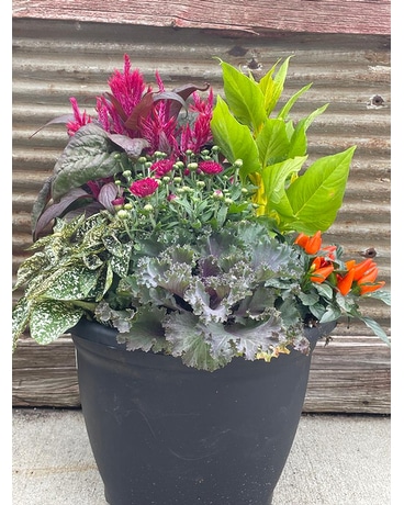 Outdoor Mixed Basket Flower Arrangement
