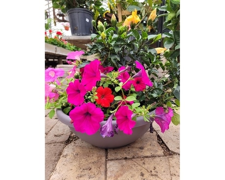 Mixed Outdoor Garden Bowl Flower Arrangement