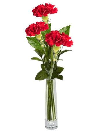 Three Carnations Bud Vase Flower Arrangement