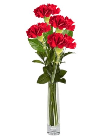 Four Carnations Bud Vase Flower Arrangement