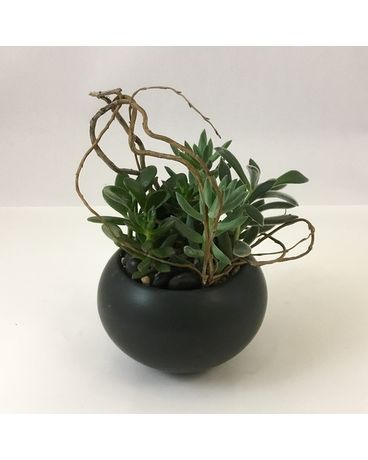 Standard size, 7 inches height and 6 inches wide.