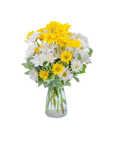 Bundle of Daisies Flower Arrangement