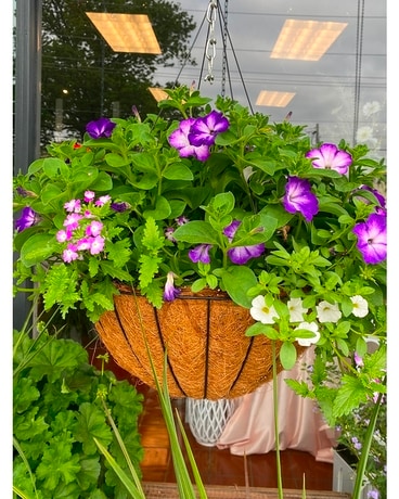 Blooming Plants Flower Arrangement