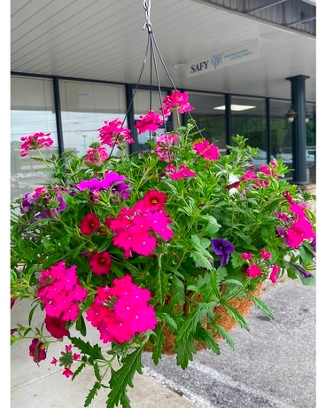 Blooming Plants Flower Arrangement