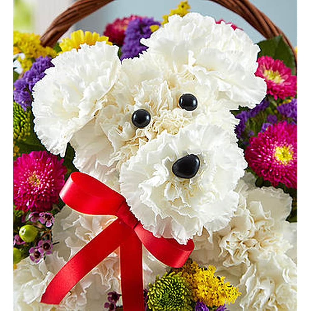 a-DOG-able in Winchendon MA - To Each His Own Designs