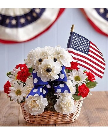 Yankee Doodle Doggie Flower Arrangement