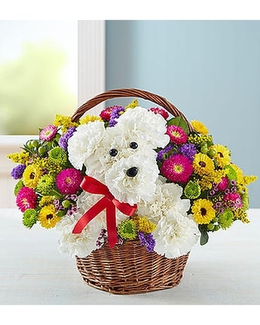 a-DOG-able Flower Arrangement