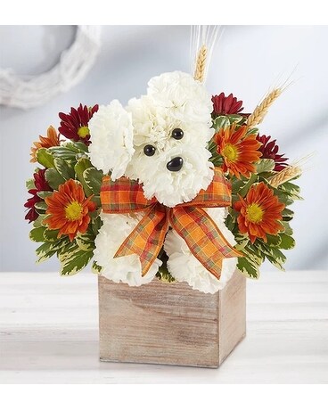 a-DOG-able for Fall Flower Arrangement