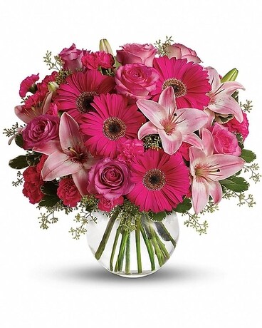  Premium size, 16 inches height and 14 and a half inches wide.