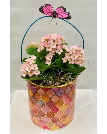Kalanchoe Plant Flower Arrangement