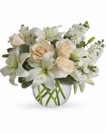  Deluxe size, 12 inches height and 14 and a half inches wide.