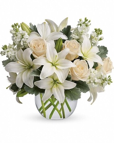  Premium size, 13 inches height and 15 inches wide.