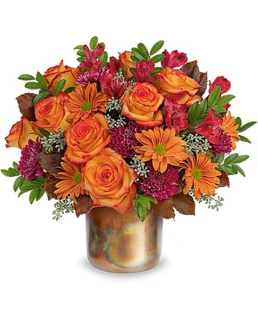  Premium size, 13 3/4 inches height and 15 1/4 inches wide.