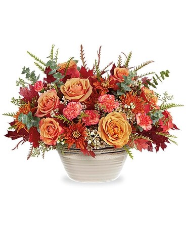  Premium size, 12 and a half inches height and 17 and a half inches wide.