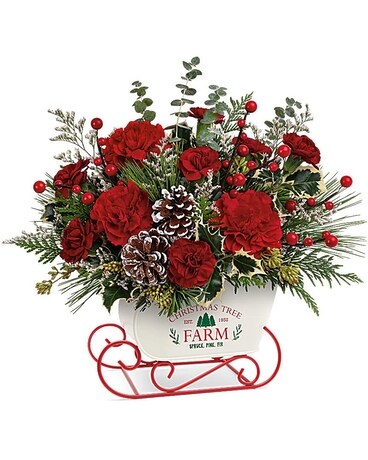 Teleflora's Snow What Fun Bouquet Flower Arrangement