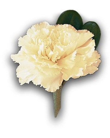 White Carnation Boutonniere Boutonniere