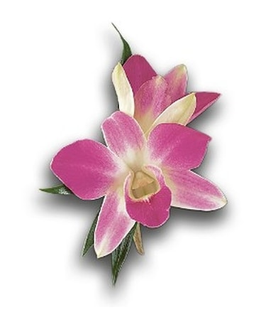 Purple Dendrobium Boutonniere Boutonniere