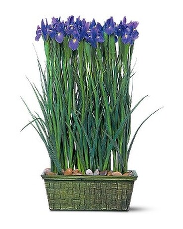 Iris Garden Flower Arrangement