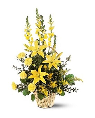 Ray of Hope Arrangement Flower Arrangement