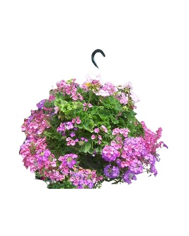 Hanging Annual Basket in Brighton MI - Meier Flowerland