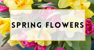 Flower Delivery to Petoskey by Flowers From Sky's The Limit