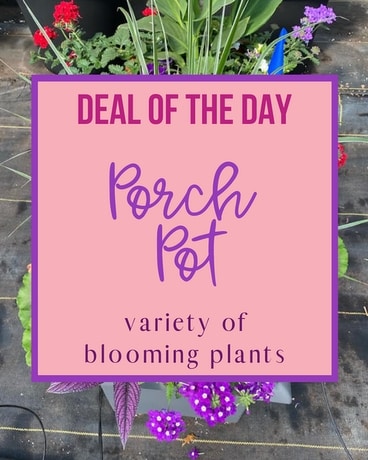 Outdoor Porch Pot Flower Arrangement