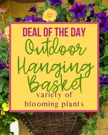 Outdoor Hanging Basket Flower Arrangement