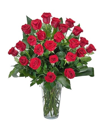 Grand Roses - 2 Dozen Roses Custom product
