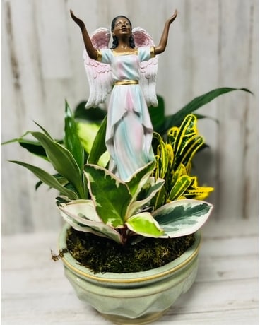 Extended Prayers Dish Garden - Small Dish Garden Plant