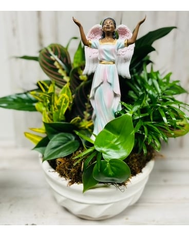 Extended Prayers Dish Garden - Medium Dish Garden Plant