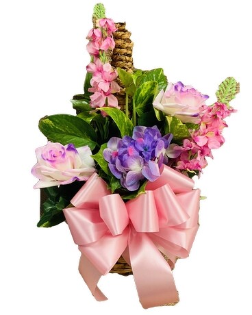 Pothos Pole-Dressed (Feminine) Plant