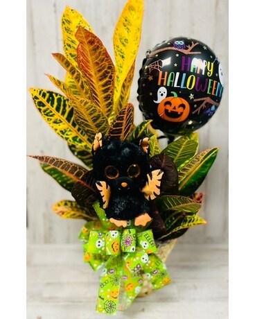 Trick-Or-Treat Croton Plant