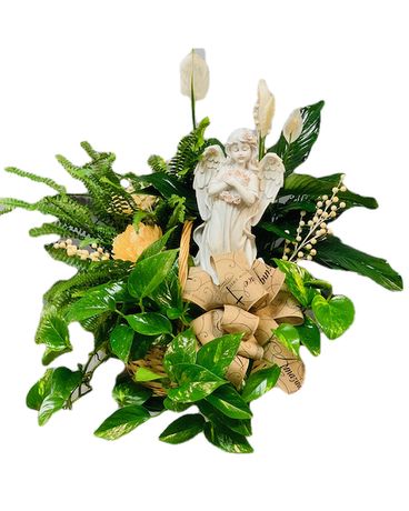Sacred Garden Plant Basket Plant