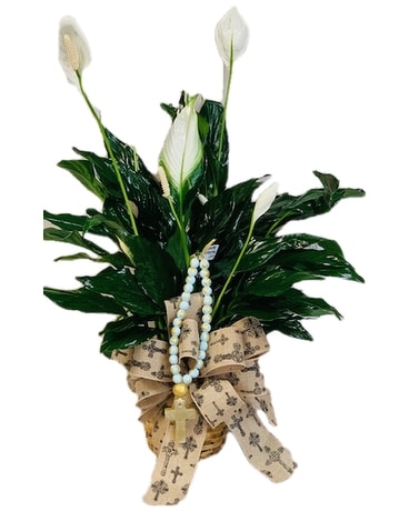 Gulf Blessing Beads Spathiphyllum