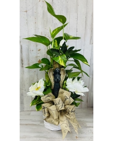 Beauty From Ashes Pothos Pole Plant