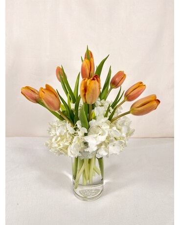 Tulip Affection