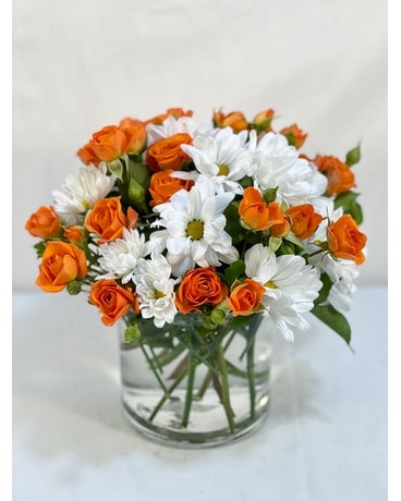 Daisy a Day Flower Arrangement