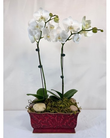 Orchid Garden Flower Arrangement