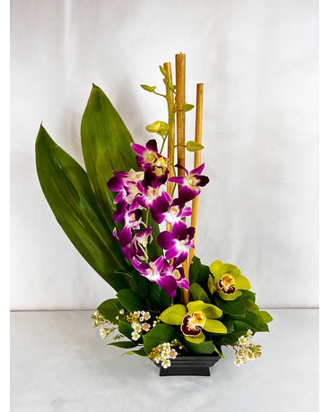 Zen Orchids Flower Arrangement