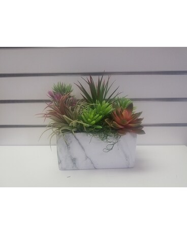Silk Succulent Garden Flower Arrangement