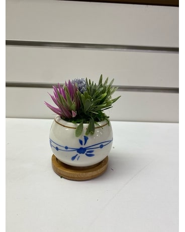 Artificial Succulent Gifts