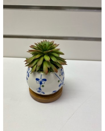 Artificial Succulent Gifts