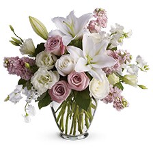 Sympathy, Shop Now!