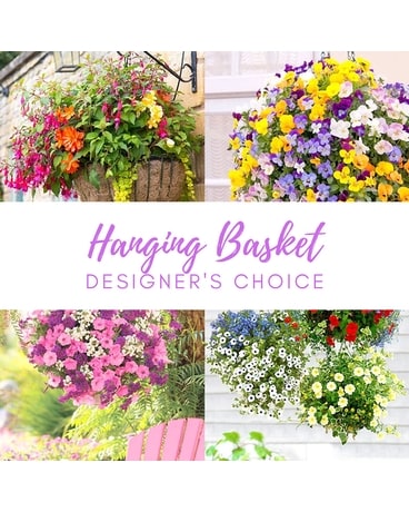 Hanging Basket Designer's Choice Basket Arrangement