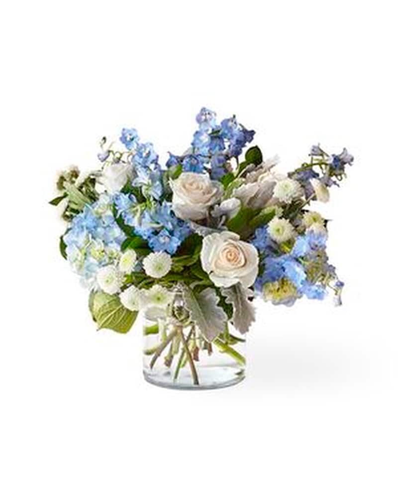 バレエ typeW grateful/checked flower smoke blue バレエ typeW grateful/checked flower smoke blue Organic Blue