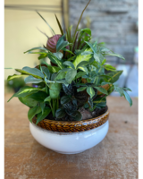 Premium size, 18 inches height and 12 inches wide.