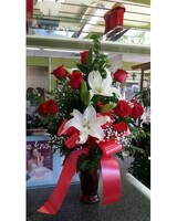 PLUS Hybrid Lily size,  inches height and  inches wide.