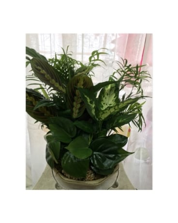 10'' Ceramic Dish Garden Flower Arrangement