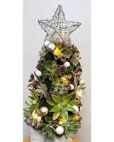 Succulent Christmas Tree Flower Arrangement